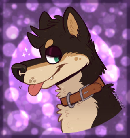 Sparkly Shiba Sparkly Shiba