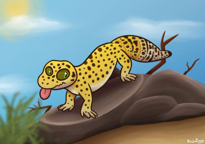 Leopard Gecko Leopard Gecko