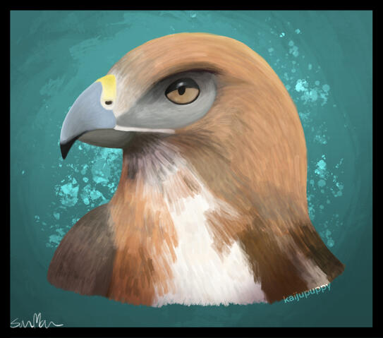 Bird of Prey Bird of Prey