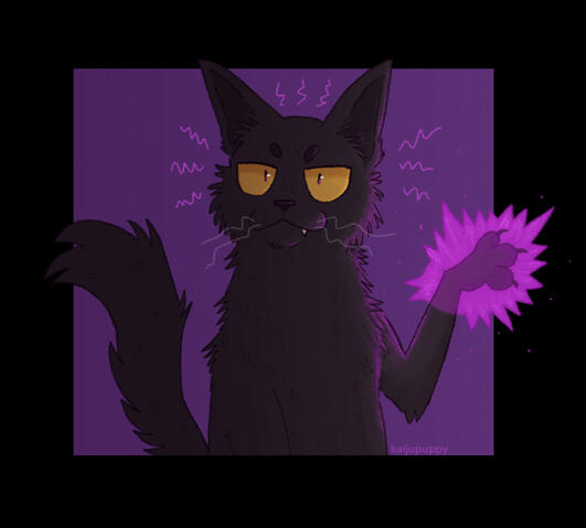 Magic Cat Magic Cat