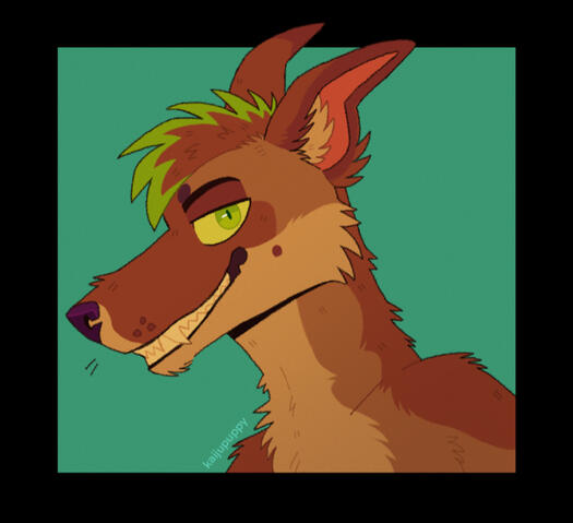 Smug Yote Smug Yote
